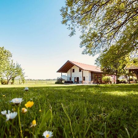 Sonnenblumenhof Guest House Muehlheim Exterior photo