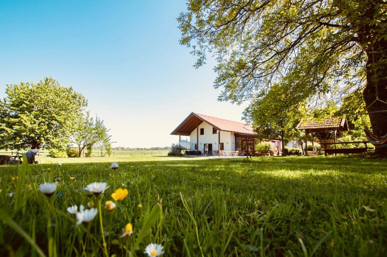 Sonnenblumenhof Guest House Muehlheim Exterior photo